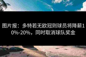 图片报：多特若无欧冠则球员将降薪10%-20%，同时取消球队奖金