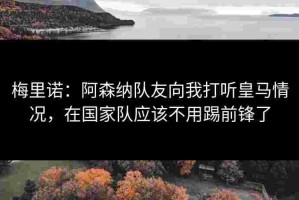 梅里诺：阿森纳队友向我打听皇马情况，在国家队应该不用踢前锋了